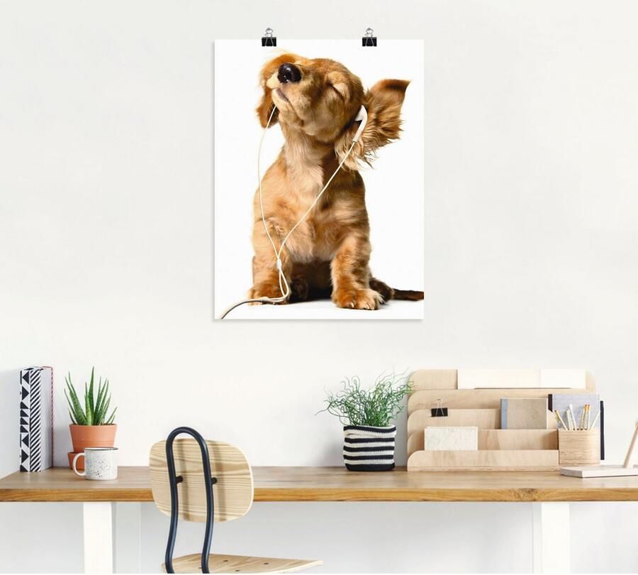 Artland Artprint Jonge hond die naar muziek door hoofdtelefoon luistert als artprint op linnen poster muursticker in verschillende maten - Foto 4