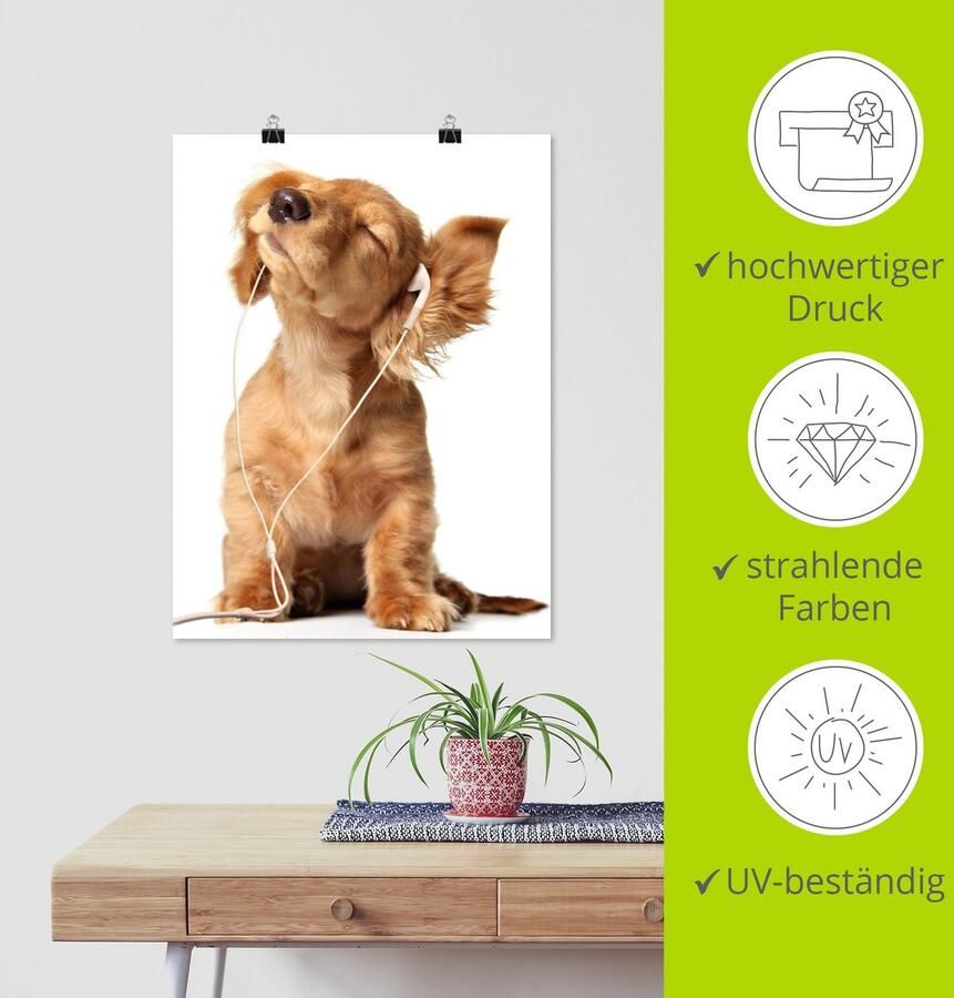 Artland Artprint Jonge hond die naar muziek door hoofdtelefoon luistert als artprint op linnen poster muursticker in verschillende maten - Foto 3