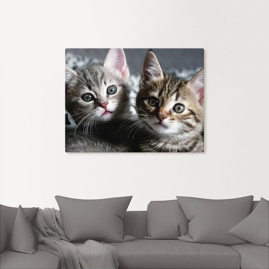 Artland Artprint Kat als artprint van aluminium artprint voor buiten artprint op linnen poster muursticker - Foto 2
