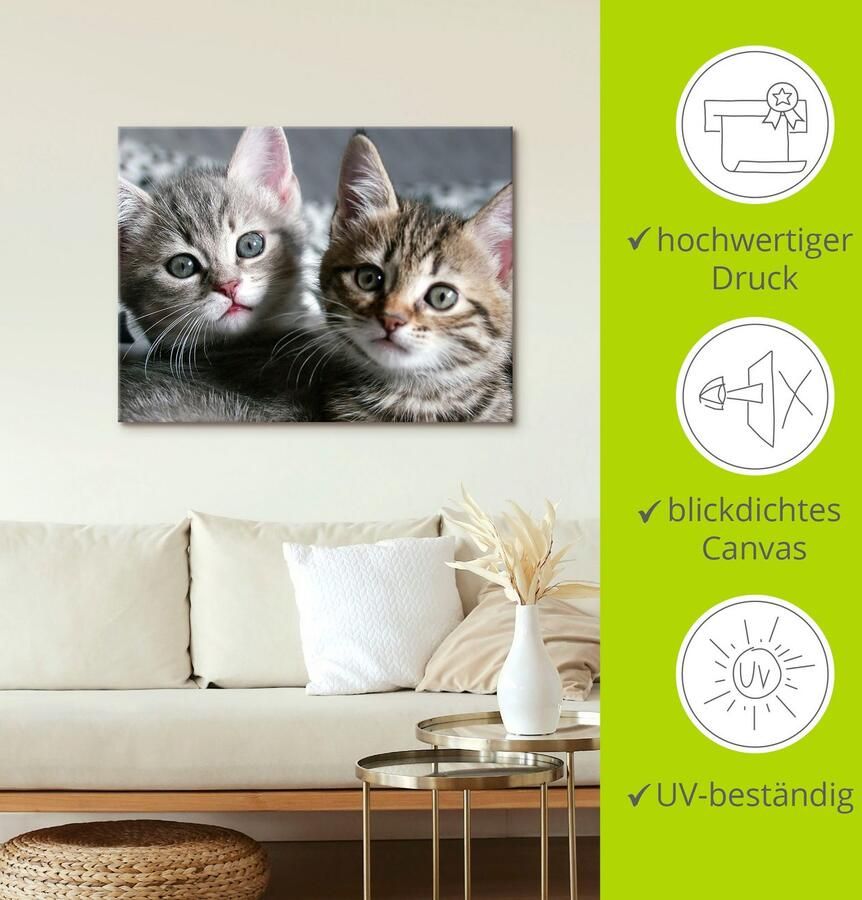 Artland Artprint Kat als artprint van aluminium artprint voor buiten artprint op linnen poster muursticker - Foto 4
