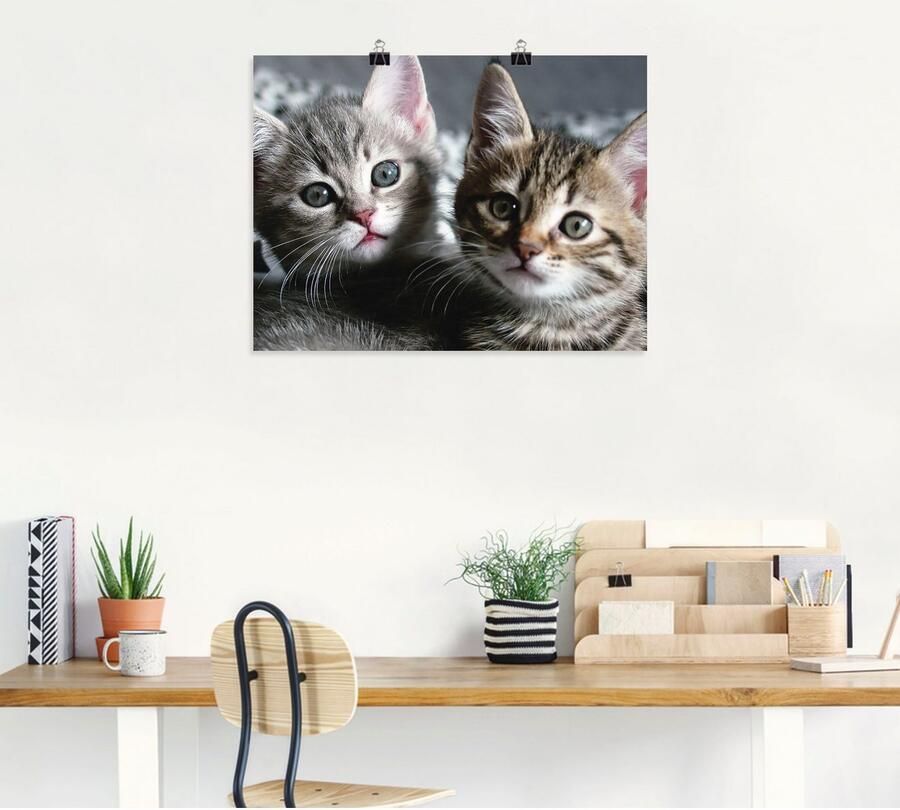 Artland Artprint Kat als artprint van aluminium artprint voor buiten artprint op linnen poster muursticker - Foto 4
