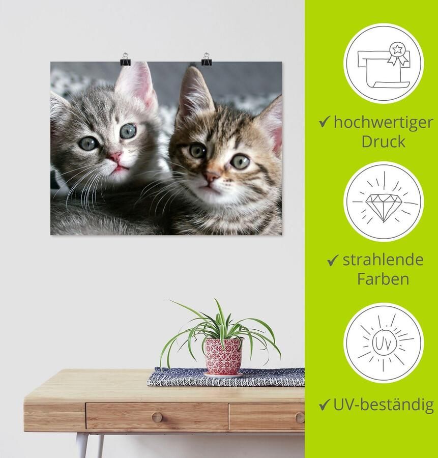 Artland Artprint Kat als artprint van aluminium artprint voor buiten artprint op linnen poster muursticker - Foto 3