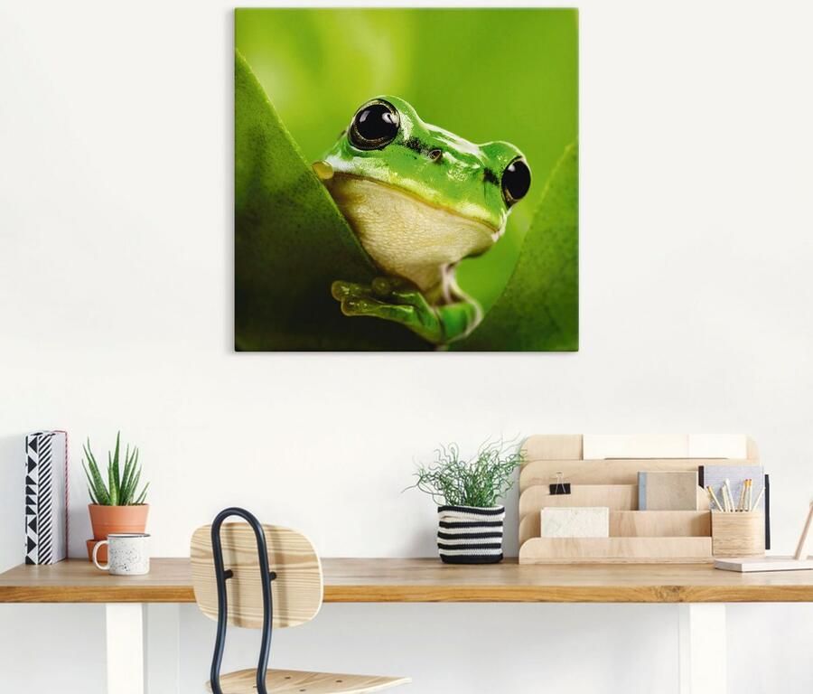 Artland Artprint Kijkende kikker als artprint op linnen poster in verschillende formaten maten - Foto 4