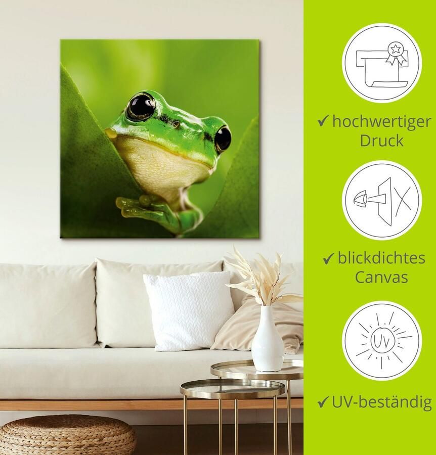 Artland Artprint Kijkende kikker als artprint op linnen poster in verschillende formaten maten - Foto 3