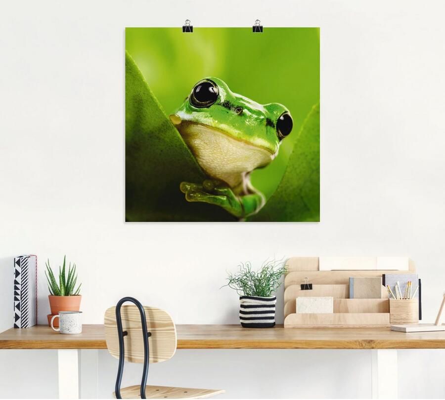 Artland Artprint Kijkende kikker als artprint op linnen poster in verschillende formaten maten - Foto 4