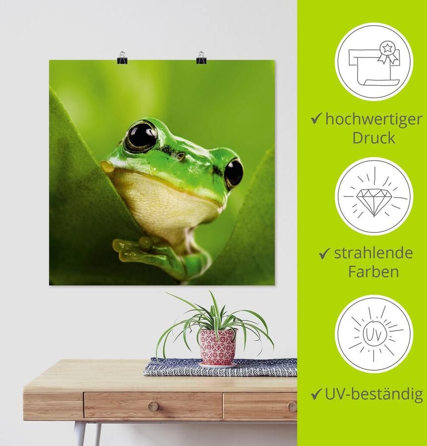 Artland Artprint Kijkende kikker als artprint op linnen poster in verschillende formaten maten - Foto 3