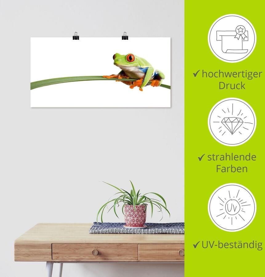 Artland Artprint Kikker op een blad als artprint van aluminium artprint voor buiten artprint op linnen poster muursticker - Foto 4
