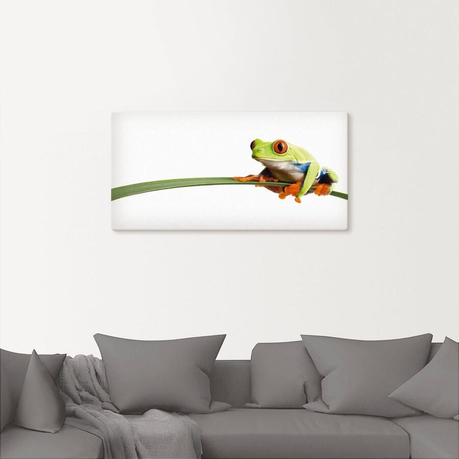 Artland Artprint Kikker op een blad als artprint van aluminium artprint voor buiten artprint op linnen poster muursticker - Foto 2