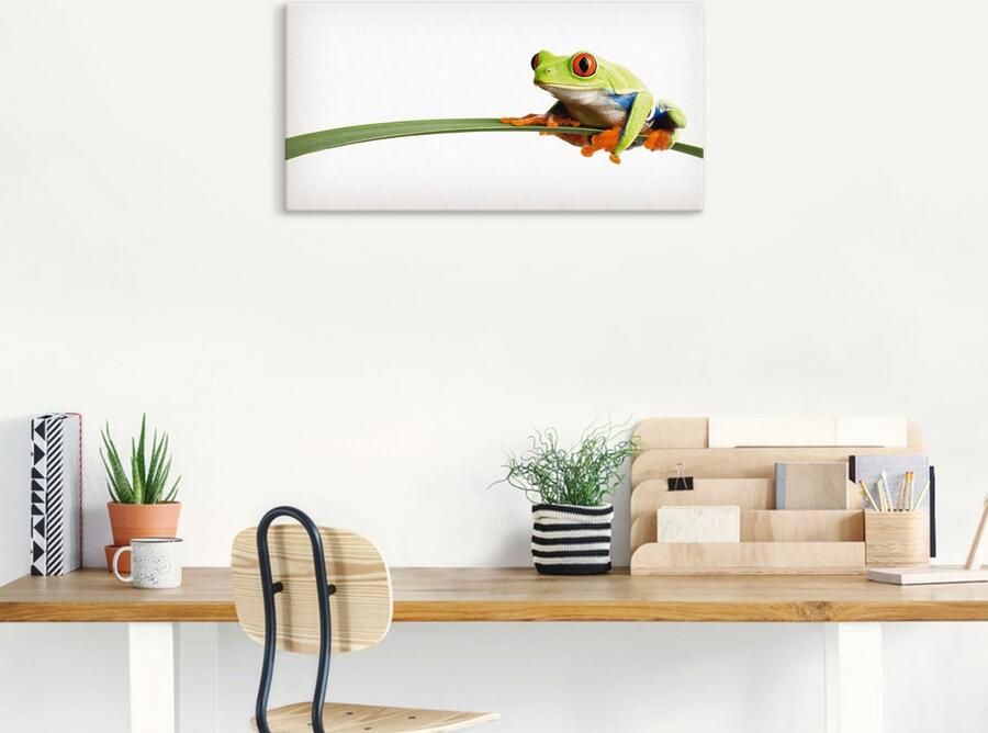 Artland Artprint Kikker op een blad als artprint van aluminium artprint voor buiten artprint op linnen poster muursticker - Foto 6
