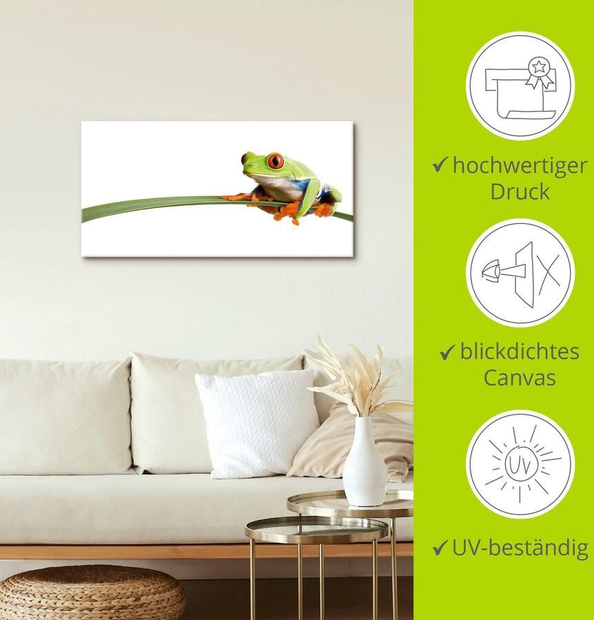 Artland Artprint Kikker op een blad als artprint van aluminium artprint voor buiten artprint op linnen poster muursticker - Foto 4