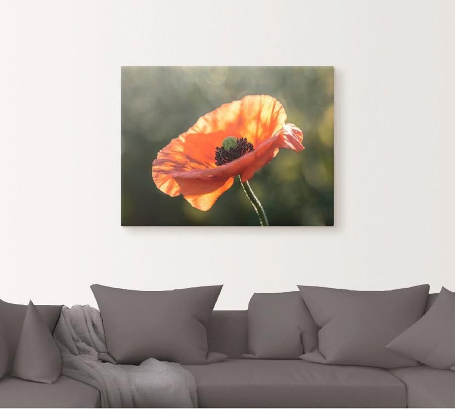 Artland Artprint Klaproos I als artprint op linnen poster in verschillende formaten maten - Foto 5