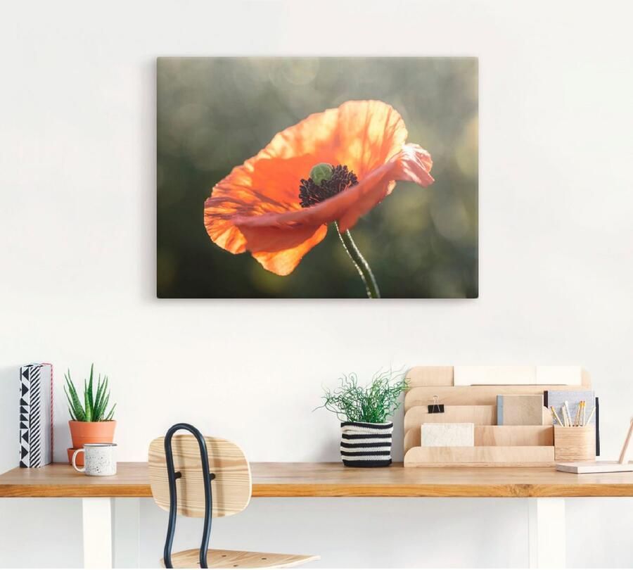 Artland Artprint Klaproos I als artprint op linnen poster in verschillende formaten maten - Foto 4