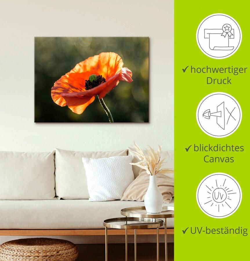 Artland Artprint Klaproos I als artprint op linnen poster in verschillende formaten maten - Foto 2