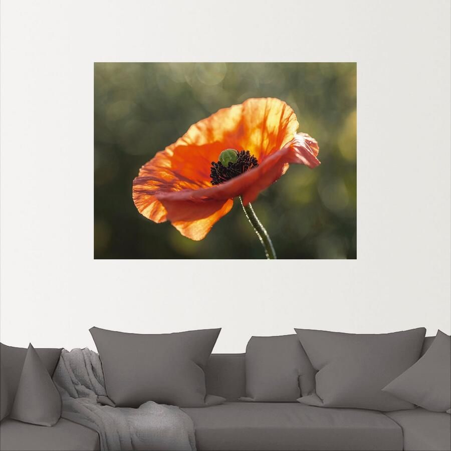 Artland Artprint Klaproos I als artprint op linnen poster in verschillende formaten maten - Foto 2