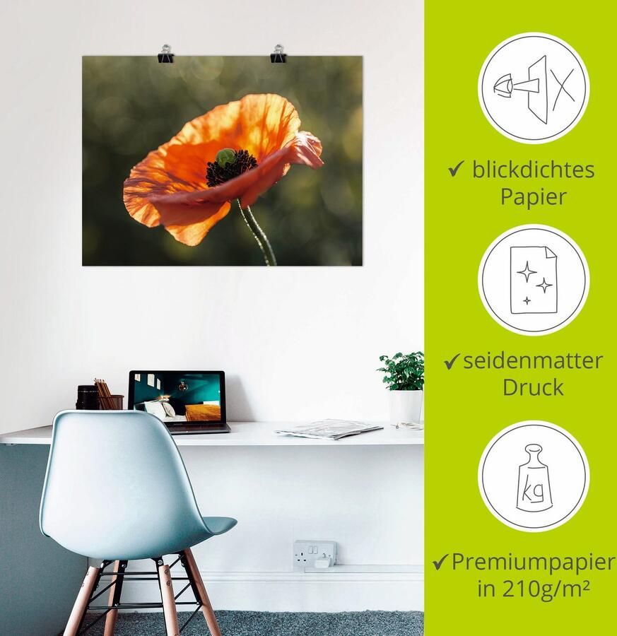 Artland Artprint Klaproos I als artprint op linnen poster in verschillende formaten maten - Foto 3