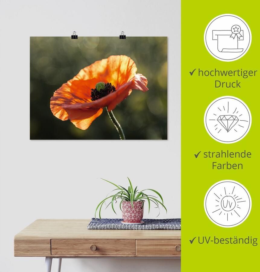 Artland Artprint Klaproos I als artprint op linnen poster in verschillende formaten maten - Foto 4