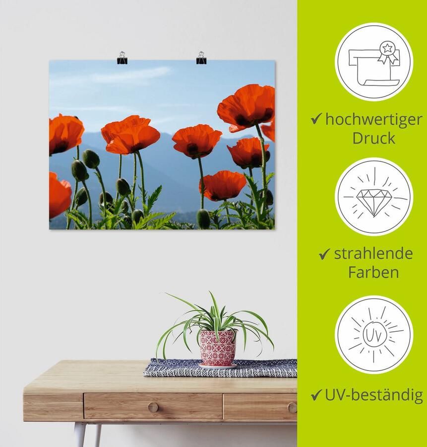 Artland Artprint Klaprozen als artprint op linnen poster in verschillende formaten maten - Foto 3