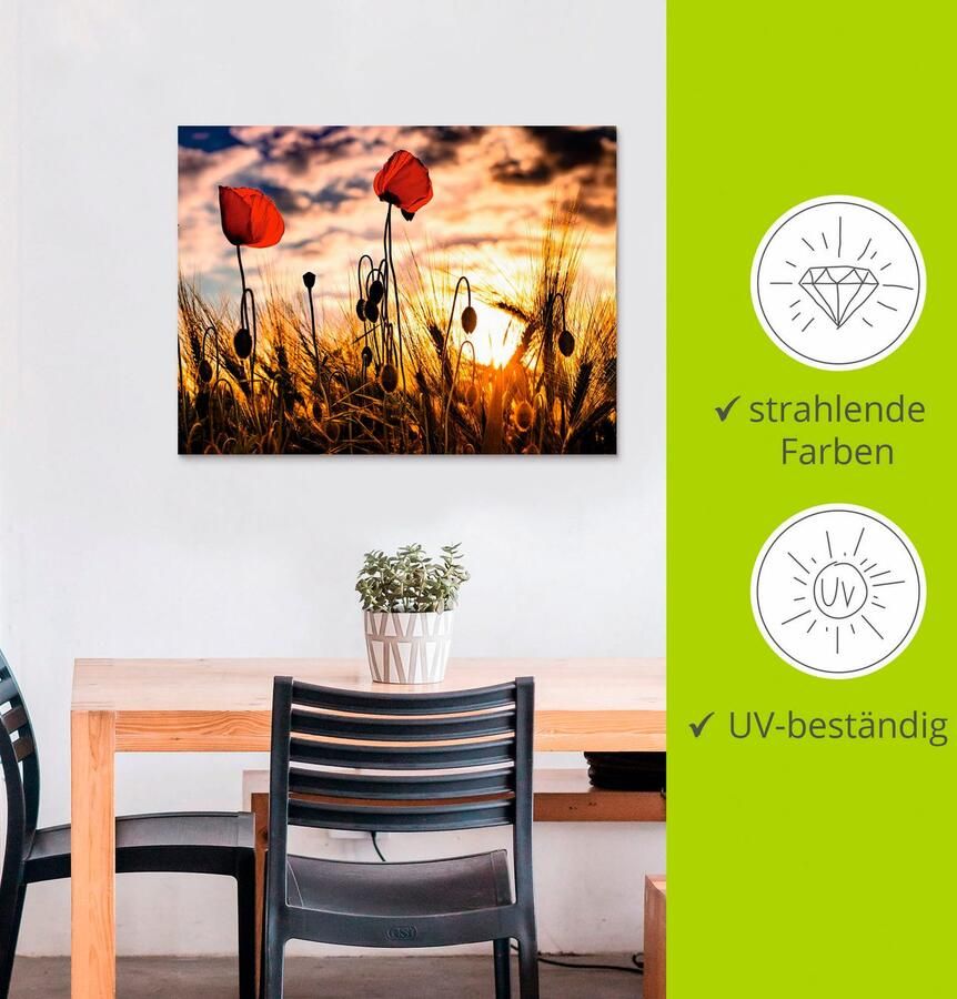 Artland Artprint Klaprozen bij zonsondergang als artprint van aluminium artprint voor buiten artprint op linnen poster muursticker - Foto 3