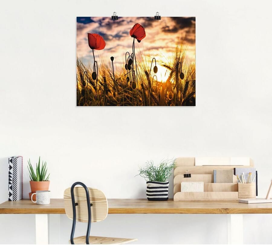 Artland Artprint Klaprozen bij zonsondergang als artprint van aluminium artprint voor buiten artprint op linnen poster muursticker - Foto 5
