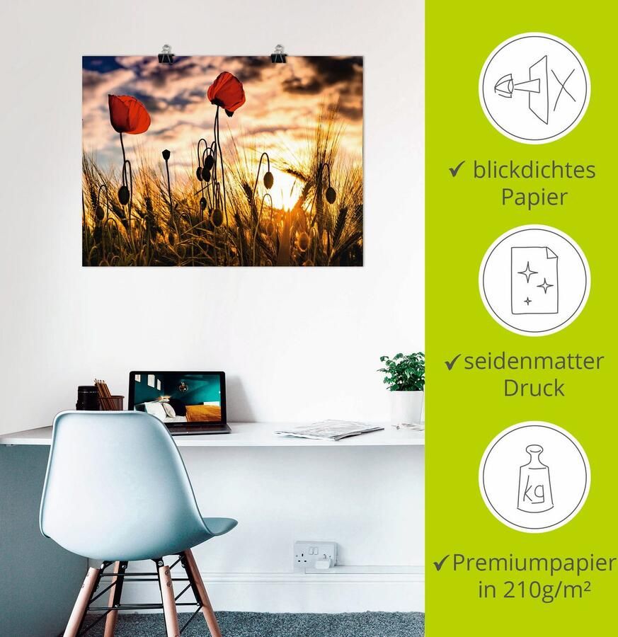 Artland Artprint Klaprozen bij zonsondergang als artprint van aluminium artprint voor buiten artprint op linnen poster muursticker - Foto 2