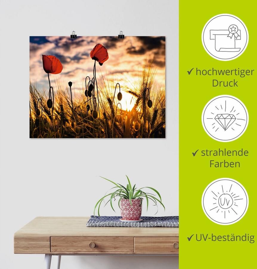 Artland Artprint Klaprozen bij zonsondergang als artprint van aluminium artprint voor buiten artprint op linnen poster muursticker - Foto 3