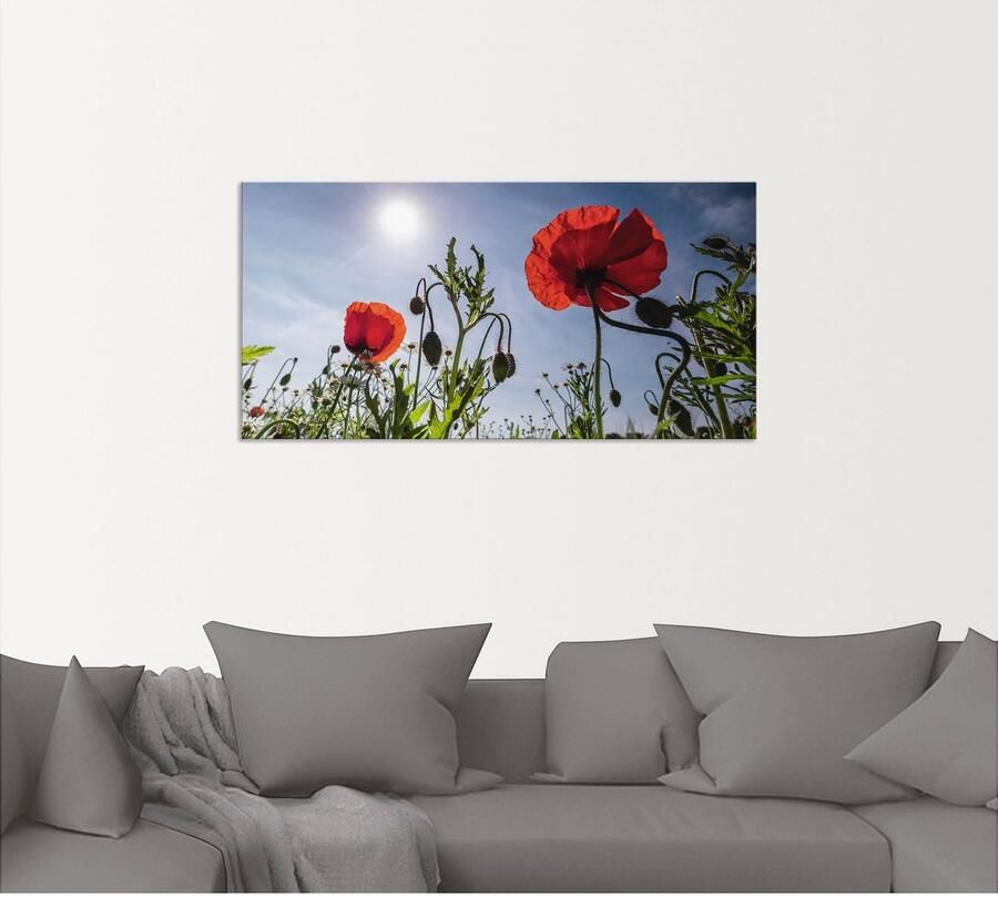 Artland Artprint Klaprozen in de lente als artprint van aluminium artprint voor buiten artprint op linnen in verschillende maten - Foto 3