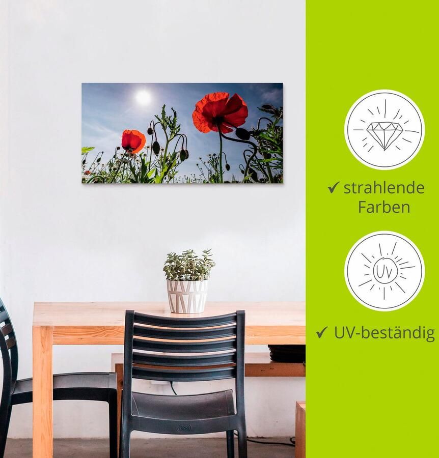 Artland Artprint Klaprozen in de lente als artprint van aluminium artprint voor buiten artprint op linnen in verschillende maten