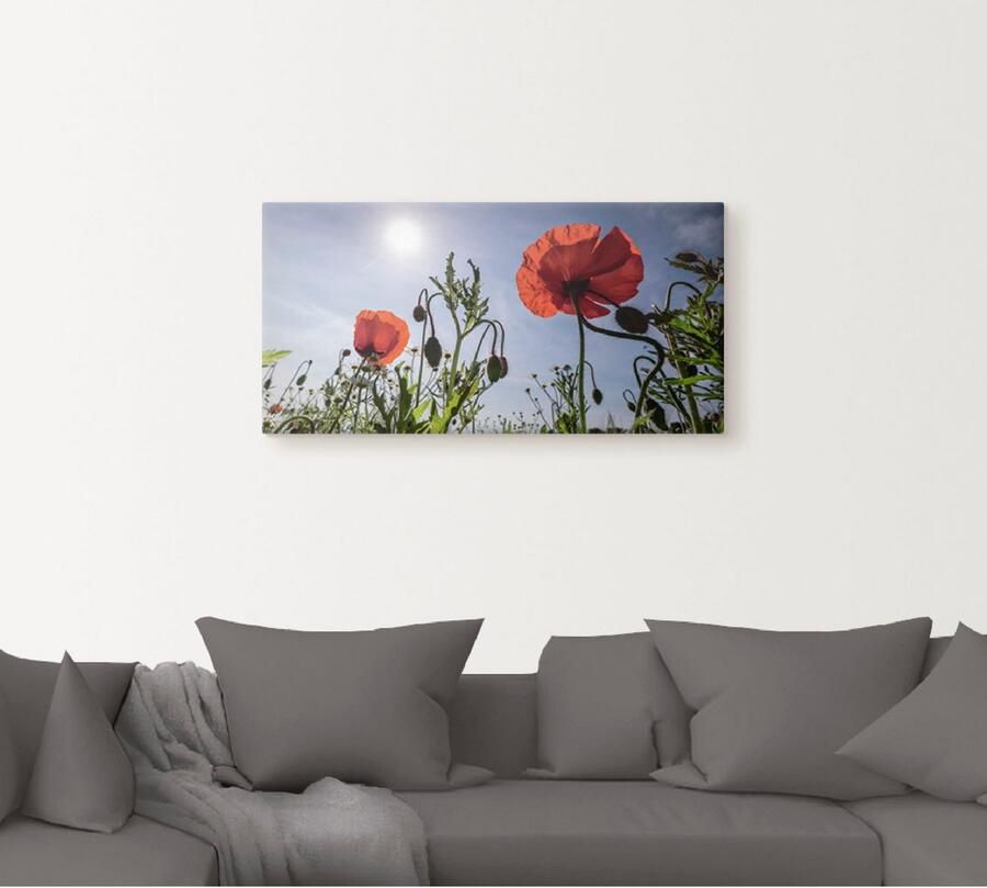 Artland Artprint Klaprozen in de lente als artprint van aluminium artprint voor buiten artprint op linnen in verschillende maten - Foto 4