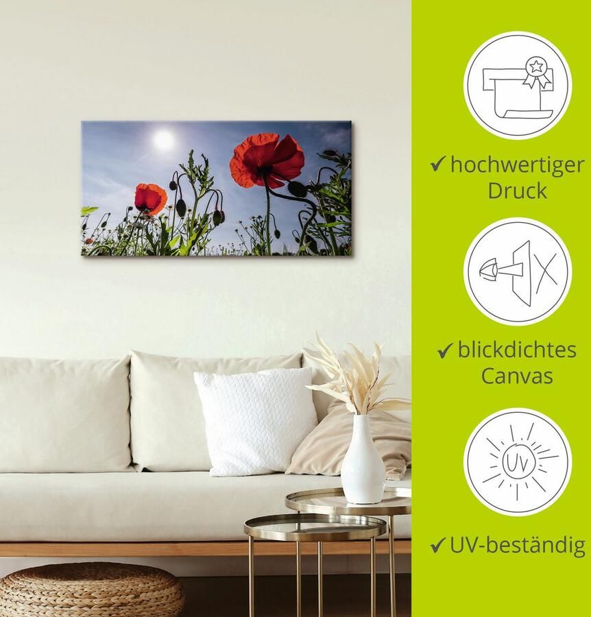 Artland Artprint Klaprozen in de lente als artprint van aluminium artprint voor buiten artprint op linnen in verschillende maten - Foto 2