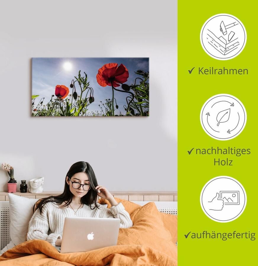 Artland Artprint Klaprozen in de lente als artprint van aluminium artprint voor buiten artprint op linnen in verschillende maten