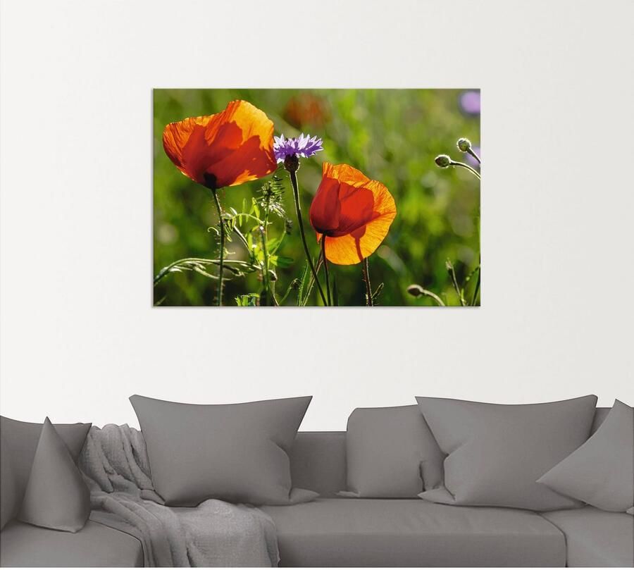 Artland Artprint Klaprozen in de lente als artprint van aluminium artprint voor buiten artprint op linnen in verschillende maten - Foto 4