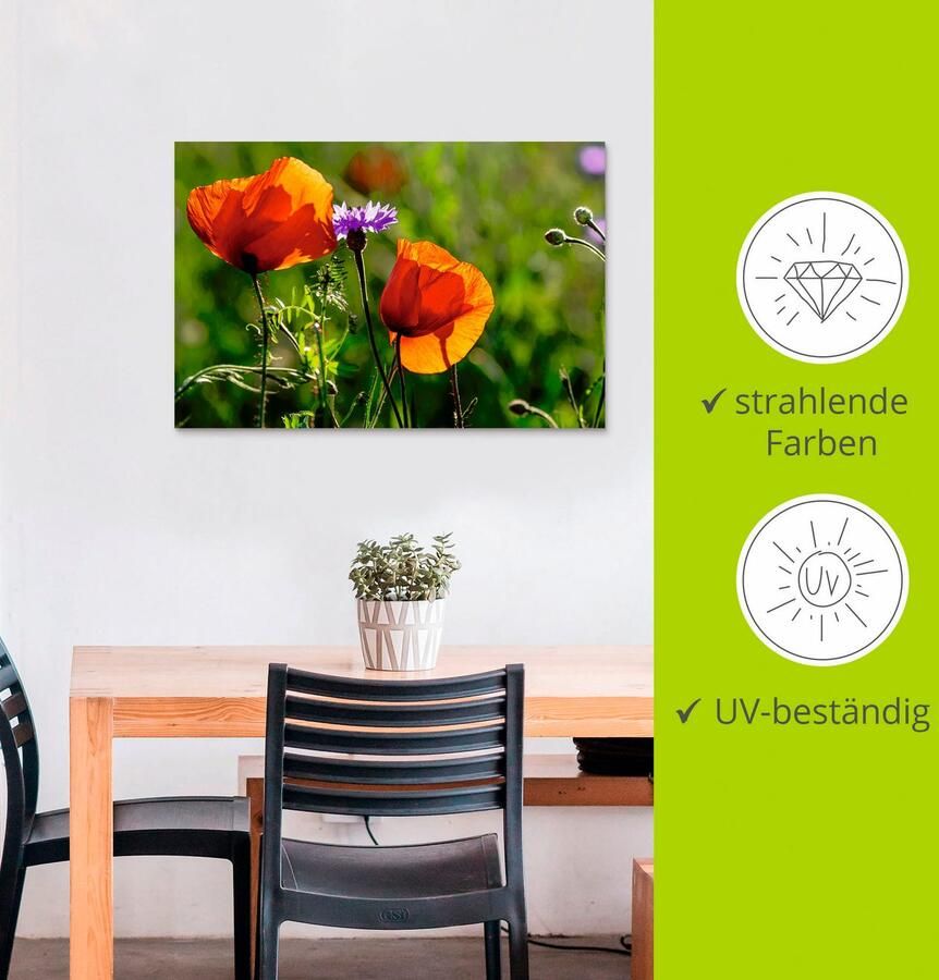 Artland Artprint Klaprozen in de lente als artprint van aluminium artprint voor buiten artprint op linnen in verschillende maten