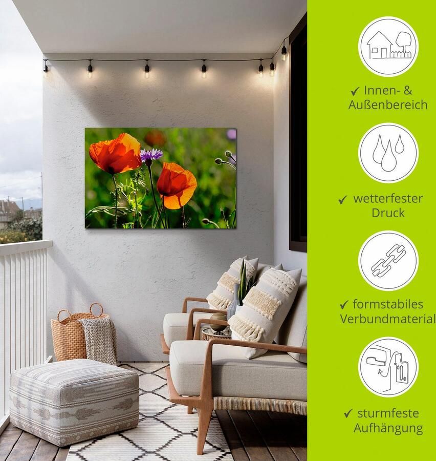 Artland Artprint Klaprozen in de lente als artprint van aluminium artprint voor buiten artprint op linnen in verschillende maten - Foto 2