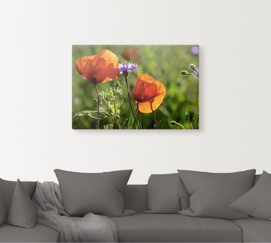 Artland Artprint Klaprozen in de lente als artprint van aluminium artprint voor buiten artprint op linnen in verschillende maten - Foto 4