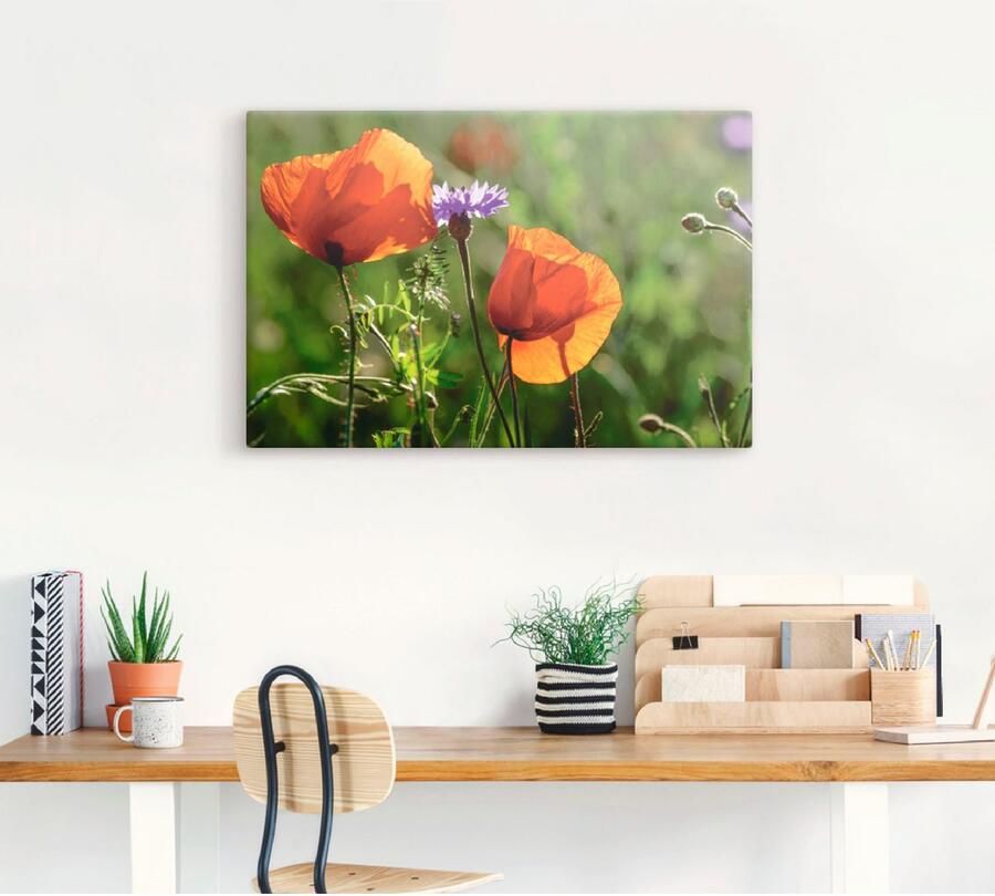 Artland Artprint Klaprozen in de lente als artprint van aluminium artprint voor buiten artprint op linnen in verschillende maten - Foto 3