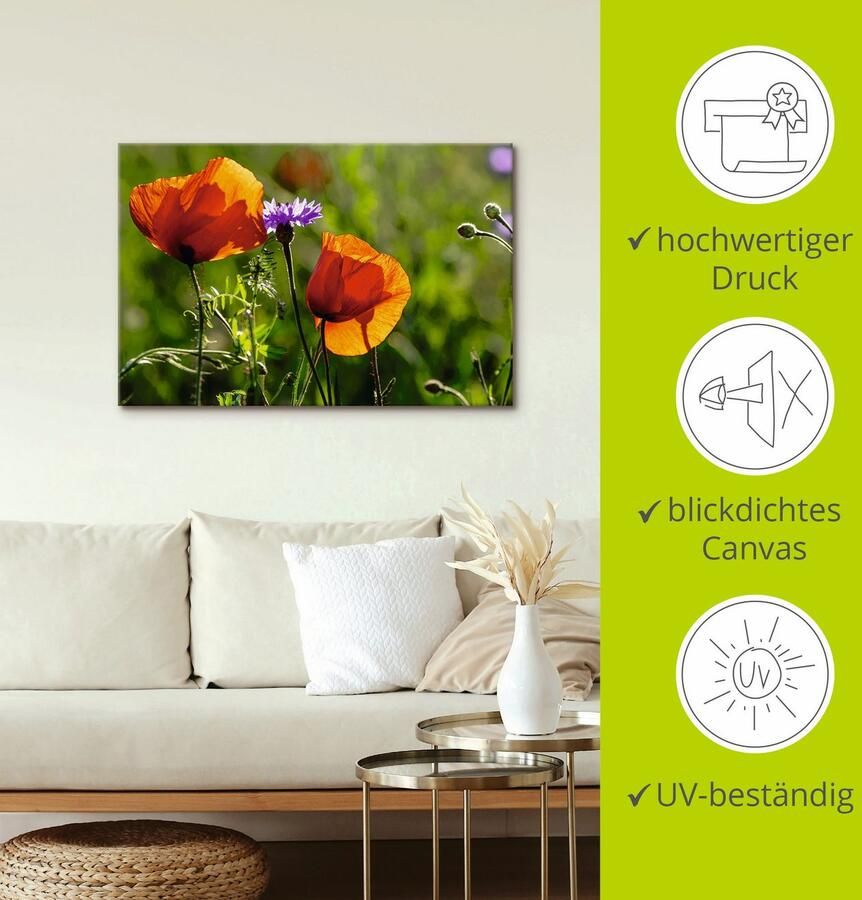 Artland Artprint Klaprozen in de lente als artprint van aluminium artprint voor buiten artprint op linnen in verschillende maten - Foto 2