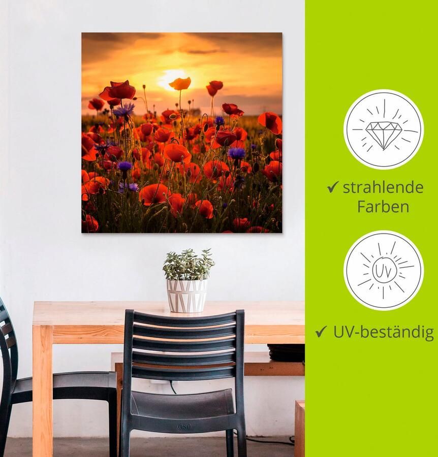 Artland Artprint Klaprozen in het avondlicht als artprint van aluminium artprint voor buiten artprint op linnen poster muursticker - Foto 2