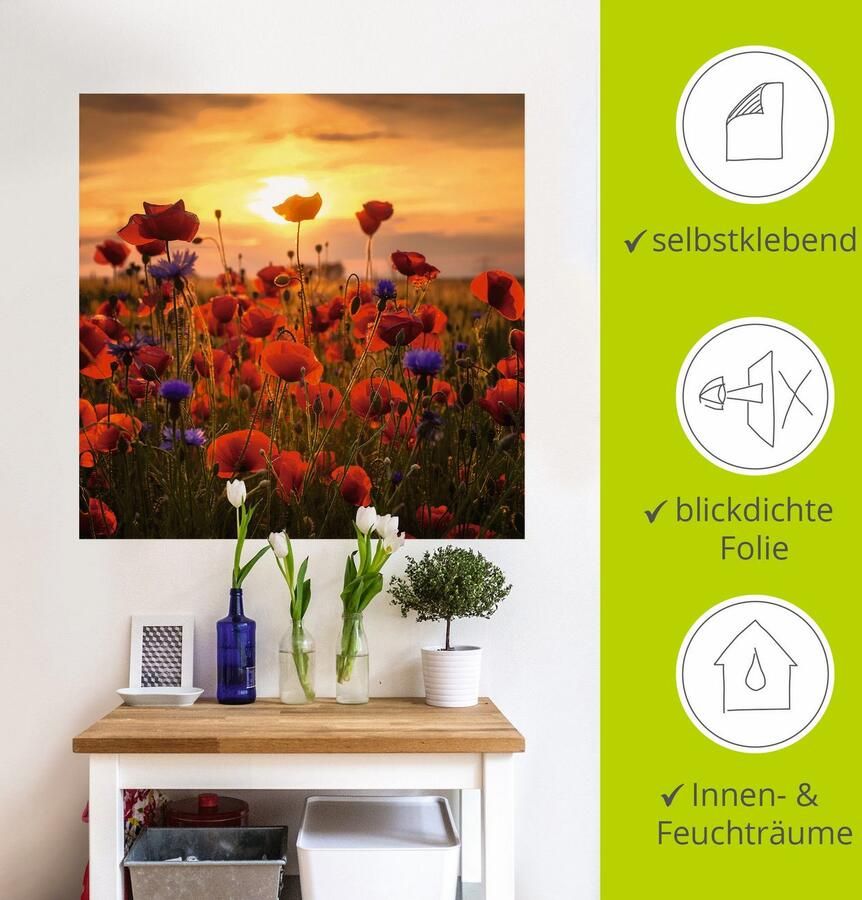 Artland Artprint Klaprozen in het avondlicht als artprint van aluminium artprint voor buiten artprint op linnen poster muursticker - Foto 3