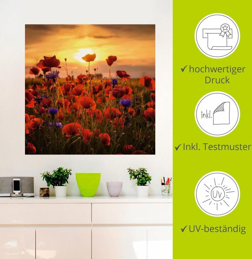 Artland Artprint Klaprozen in het avondlicht als artprint van aluminium artprint voor buiten artprint op linnen poster muursticker - Foto 2