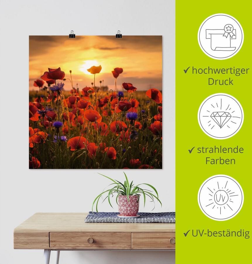 Artland Artprint Klaprozen in het avondlicht als artprint van aluminium artprint voor buiten artprint op linnen poster muursticker - Foto 4