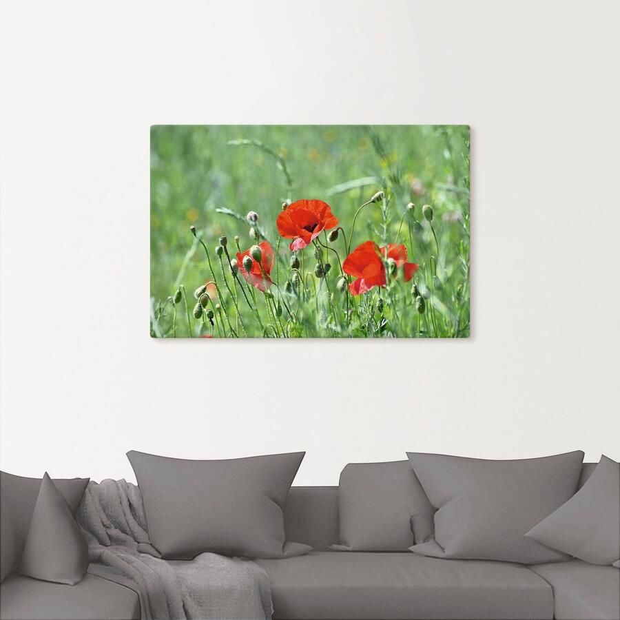 Artland Artprint Klaprozen in het gras als artprint op linnen poster in verschillende formaten maten - Foto 2