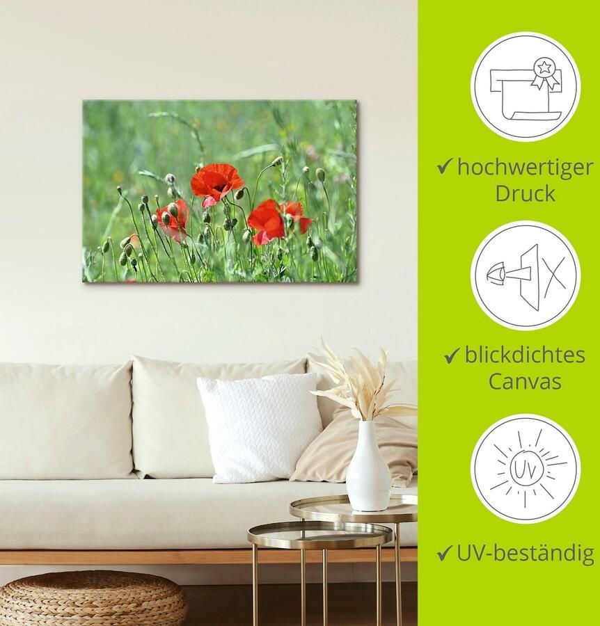 Artland Artprint Klaprozen in het gras als artprint op linnen poster in verschillende formaten maten - Foto 4