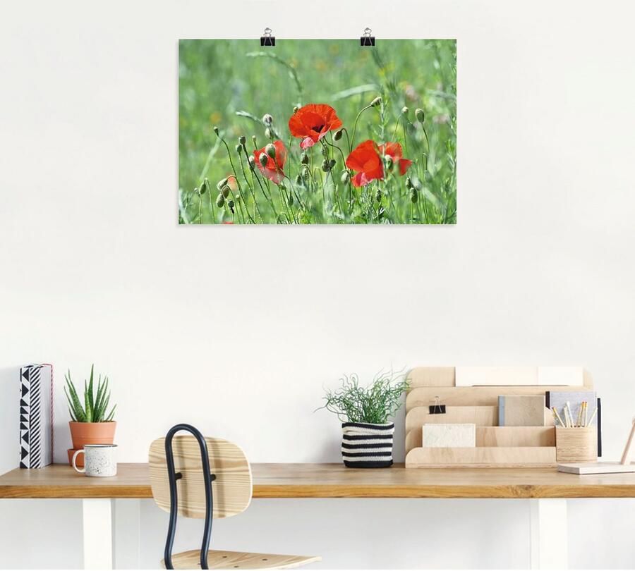 Artland Artprint Klaprozen in het gras als artprint op linnen poster in verschillende formaten maten - Foto 4