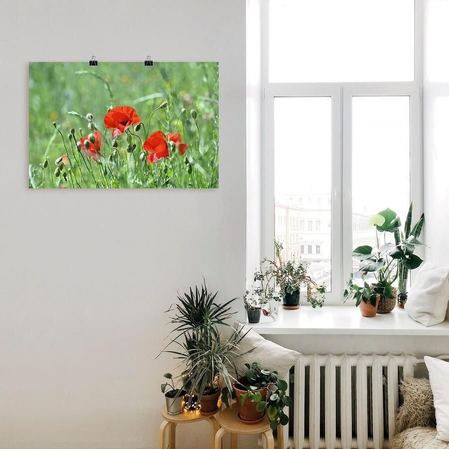 Artland Artprint Klaprozen in het gras als artprint op linnen poster in verschillende formaten maten