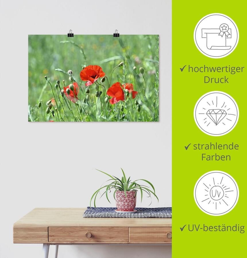 Artland Artprint Klaprozen in het gras als artprint op linnen poster in verschillende formaten maten - Foto 3