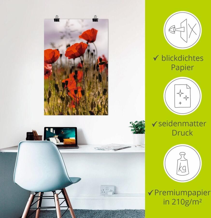 Artland Artprint Klaprozen in ochtendlicht als artprint van aluminium artprint voor buiten artprint op linnen poster in verschillende maten. maten - Foto 2