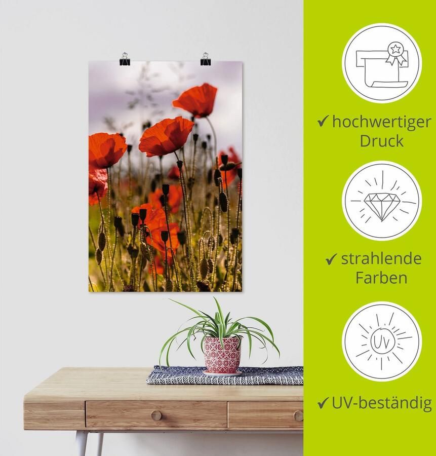 Artland Artprint Klaprozen in ochtendlicht als artprint van aluminium artprint voor buiten artprint op linnen poster in verschillende maten. maten - Foto 3