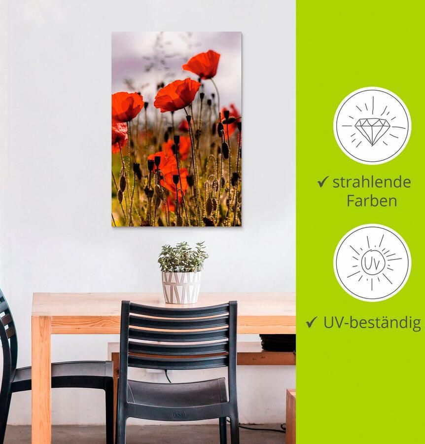 Artland Artprint Klaprozen in ochtendlicht als artprint van aluminium artprint voor buiten artprint op linnen poster in verschillende maten. maten - Foto 1