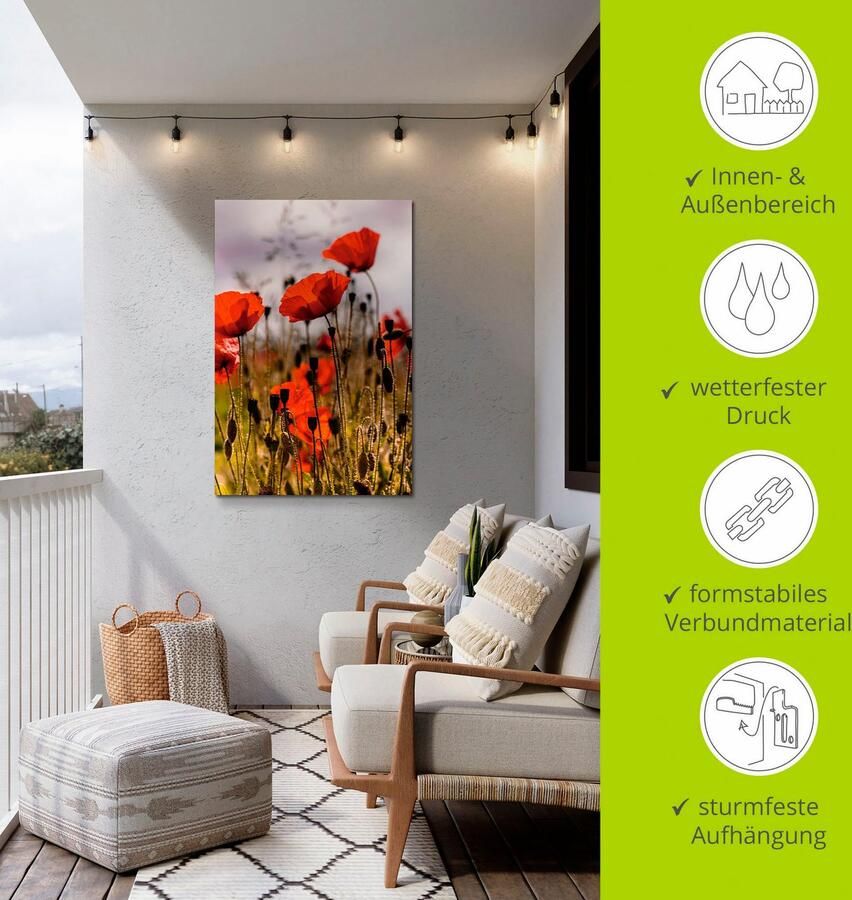 Artland Artprint Klaprozen in ochtendlicht als artprint van aluminium artprint voor buiten artprint op linnen poster in verschillende maten. maten - Foto 2