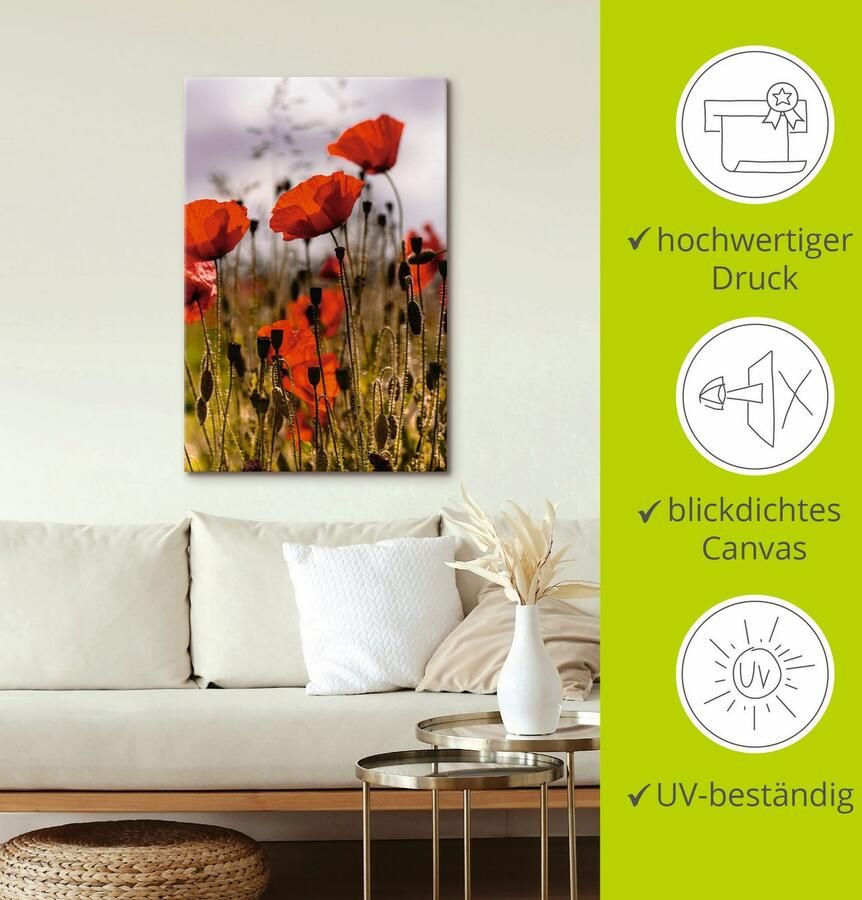 Artland Artprint Klaprozen in ochtendlicht als artprint van aluminium artprint voor buiten artprint op linnen poster in verschillende maten. maten - Foto 2